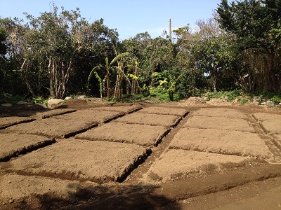 Farm plan lower making diamond beds pattern and drainage